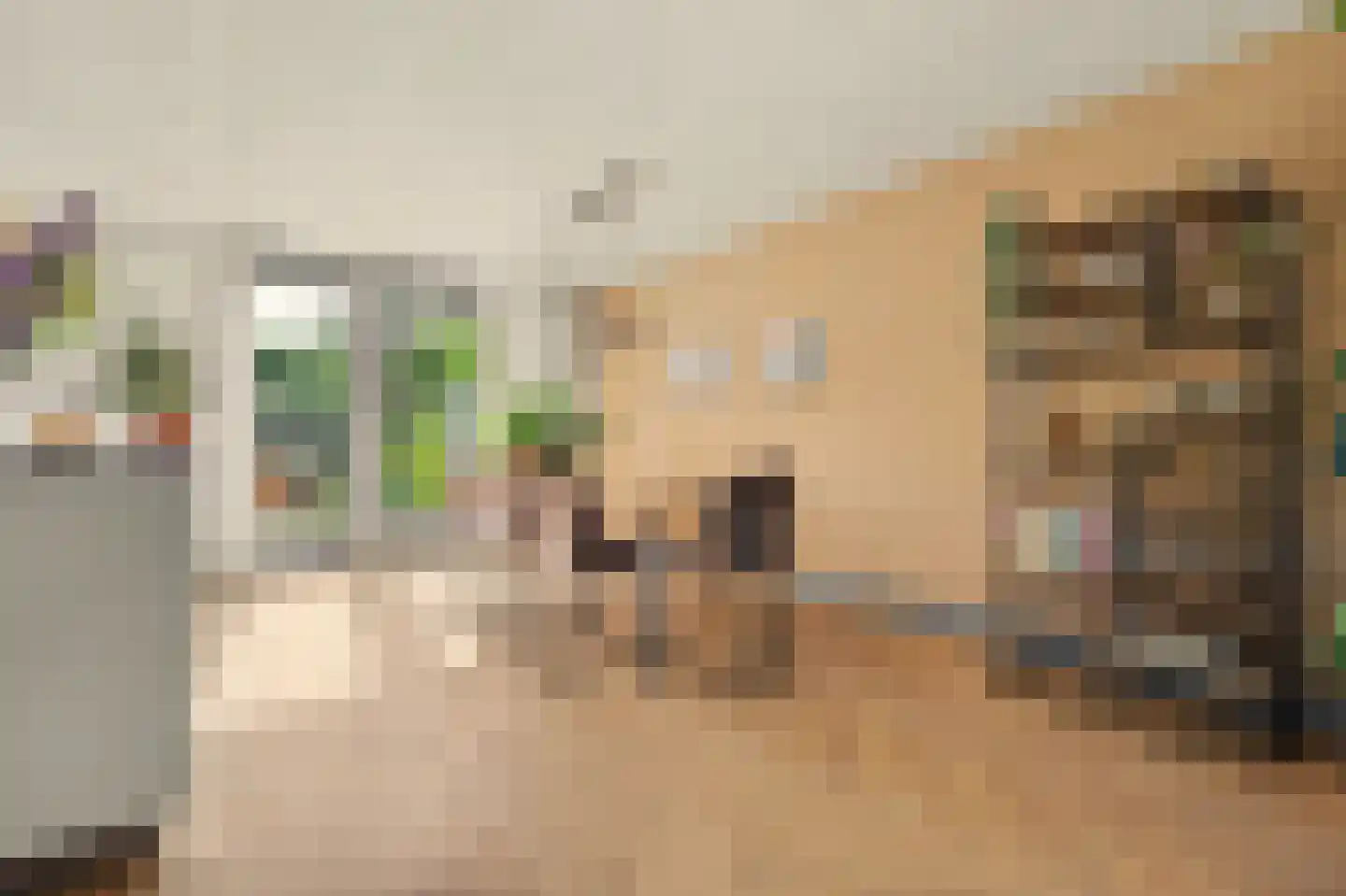 IJsvogel 48 Vught thumbnail 4