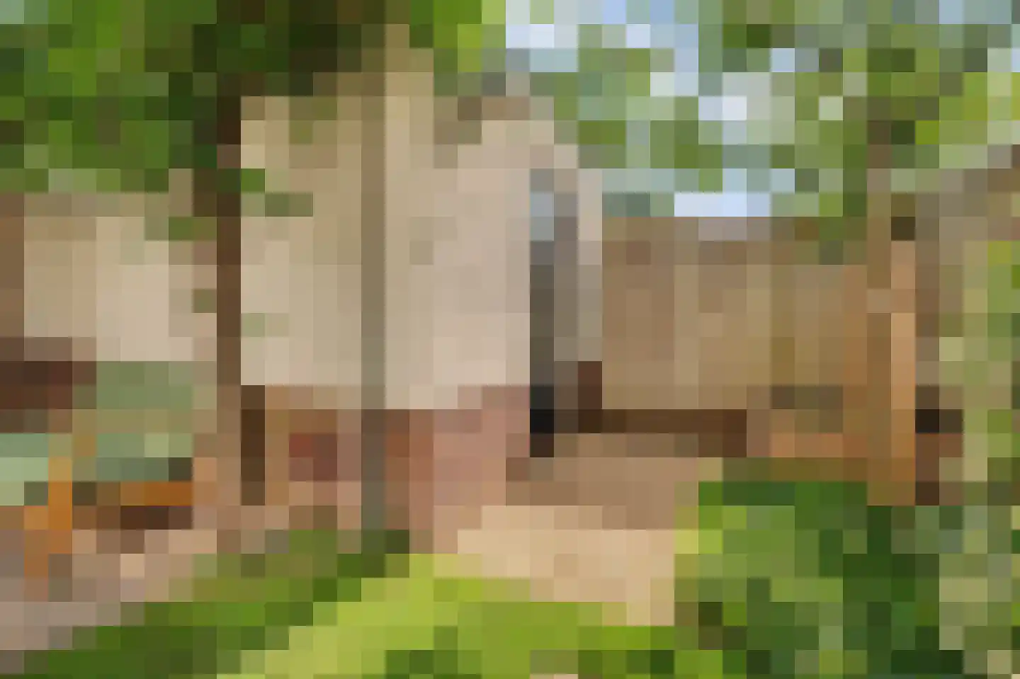 IJsvogel 48 Vught thumbnail 40