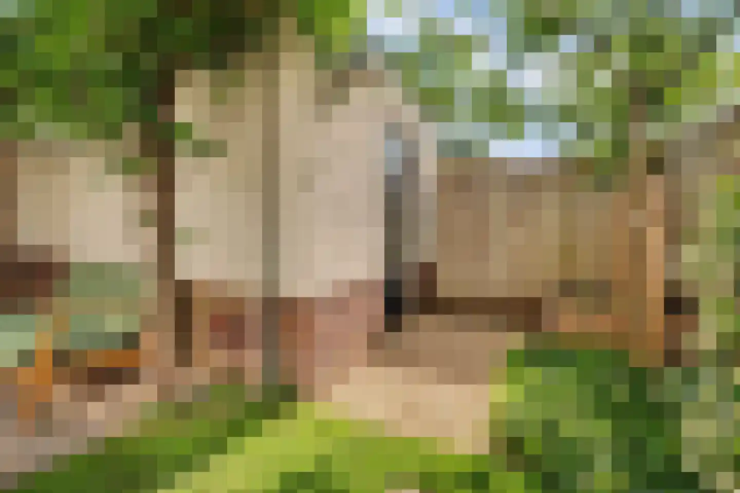 IJsvogel 48 Vught thumbnail 40