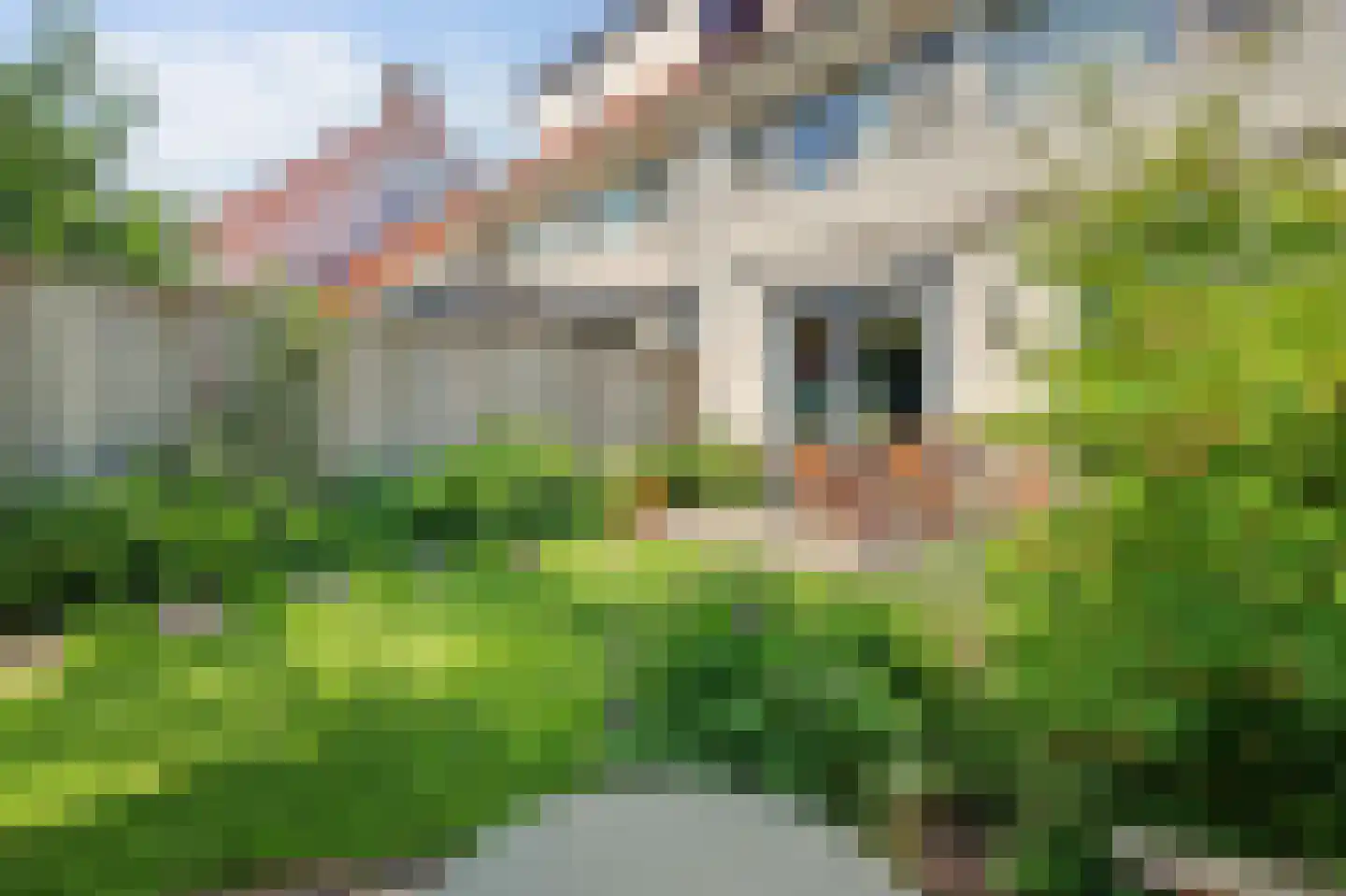 IJsvogel 48 Vught thumbnail 43