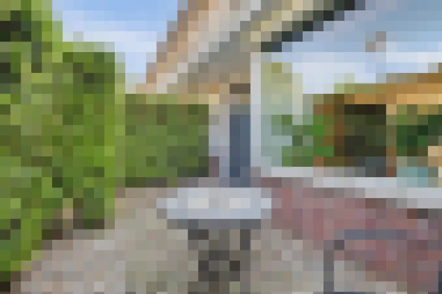 IJsvogel 48 Vught thumbnail 44