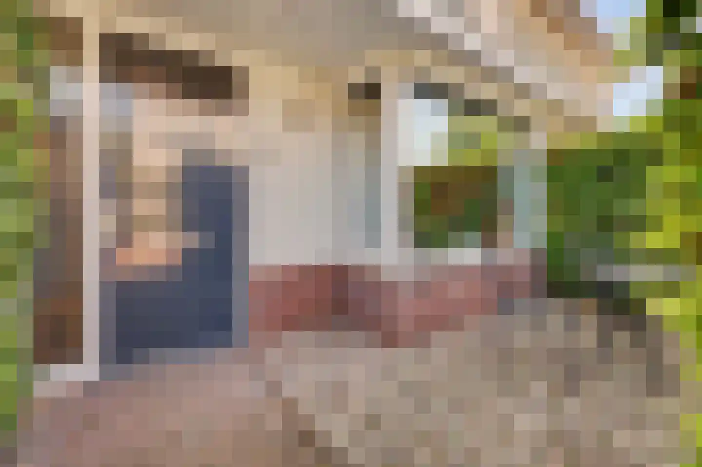 IJsvogel 48 Vught thumbnail 45