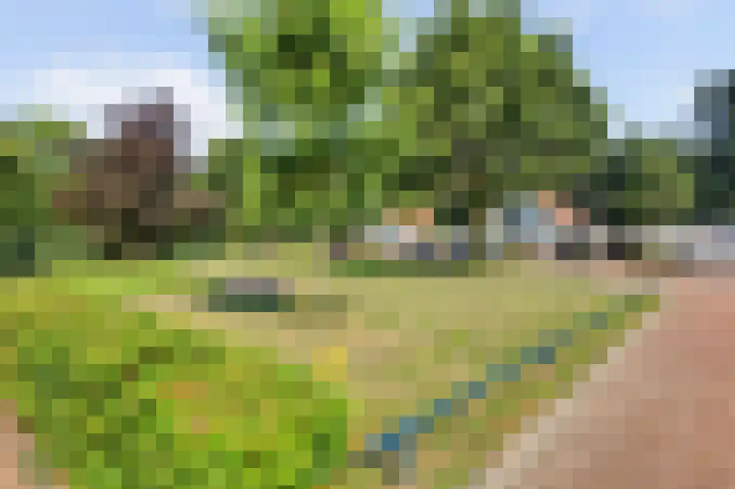 IJsvogel 48 Vught thumbnail 47