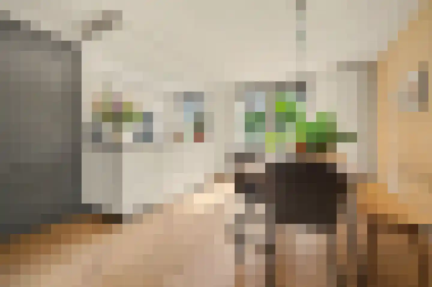 IJsvogel 48 Vught thumbnail 5
