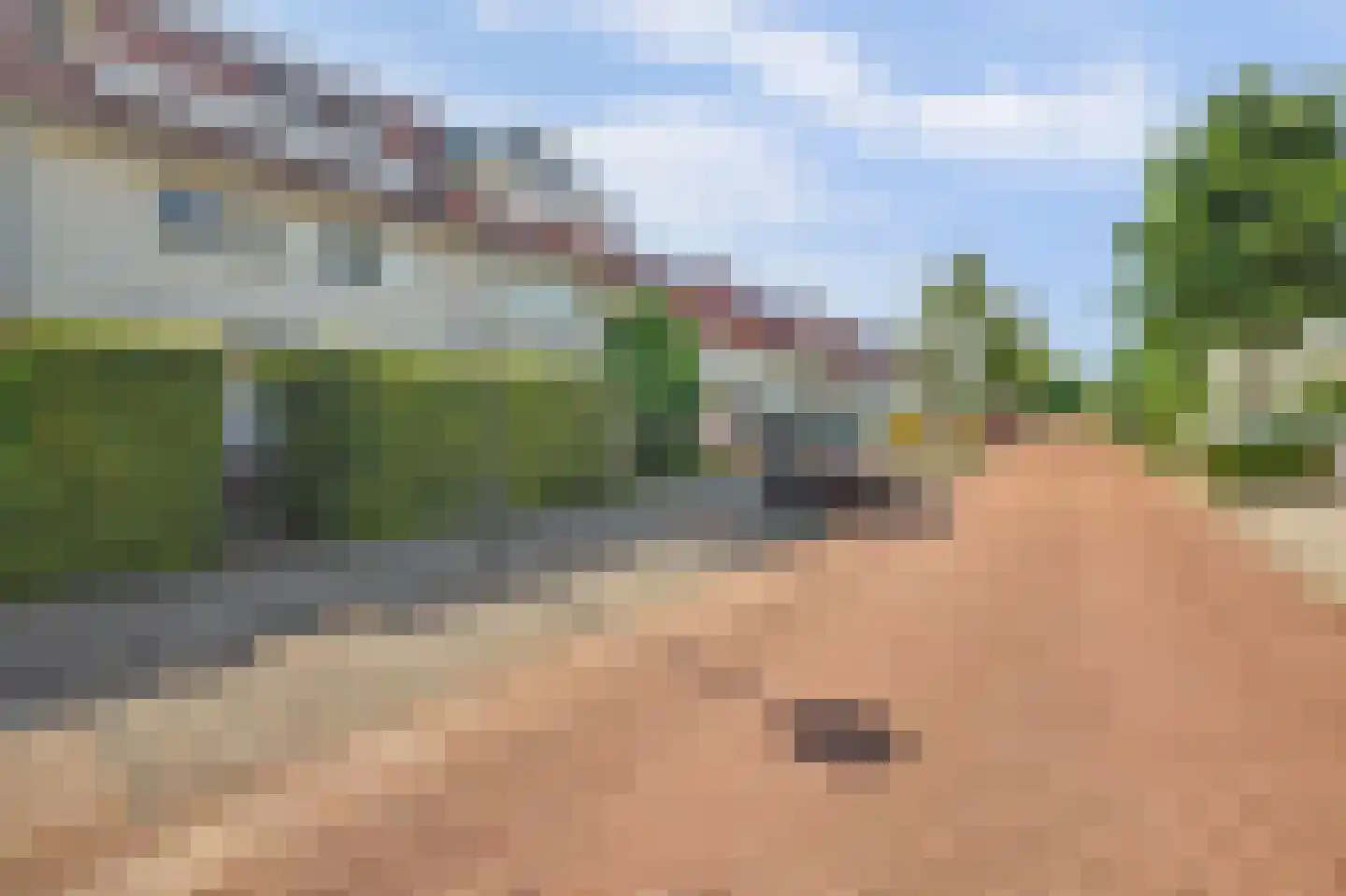 IJsvogel 48 Vught thumbnail 50