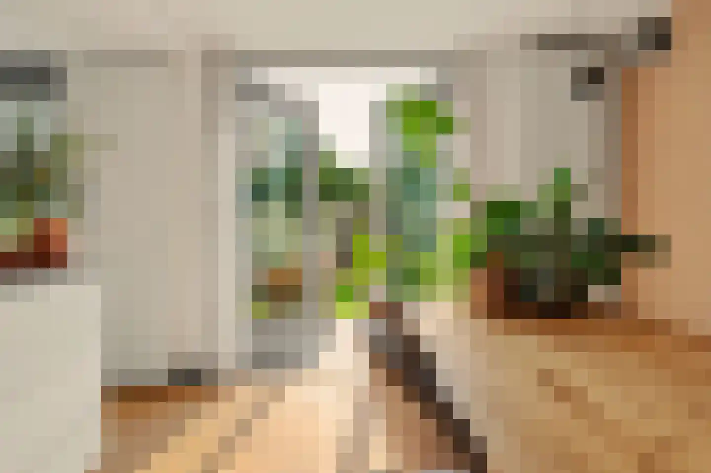 IJsvogel 48 Vught thumbnail 6