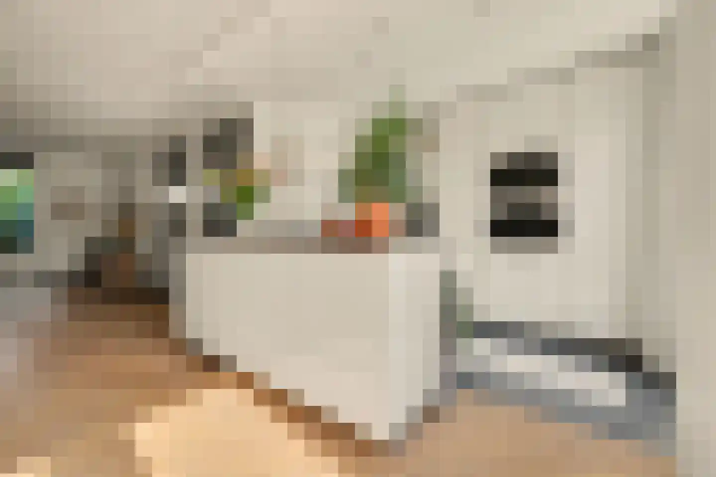 IJsvogel 48 Vught thumbnail 7