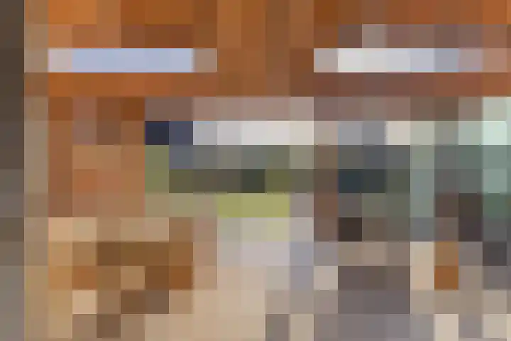 IJsvogel 49 Muiden thumbnail 10