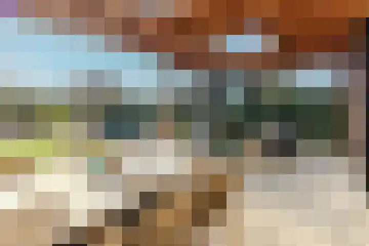 IJsvogel 49 Muiden thumbnail 11