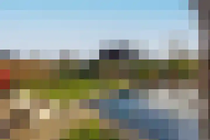 IJsvogel 49 Muiden thumbnail 12