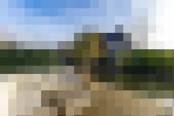 IJsvogel 49 Muiden thumbnail 13