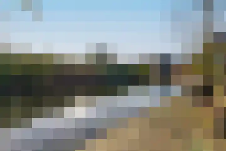 IJsvogel 49 Muiden thumbnail 14