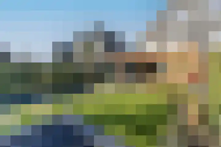 IJsvogel 49 Muiden thumbnail 15