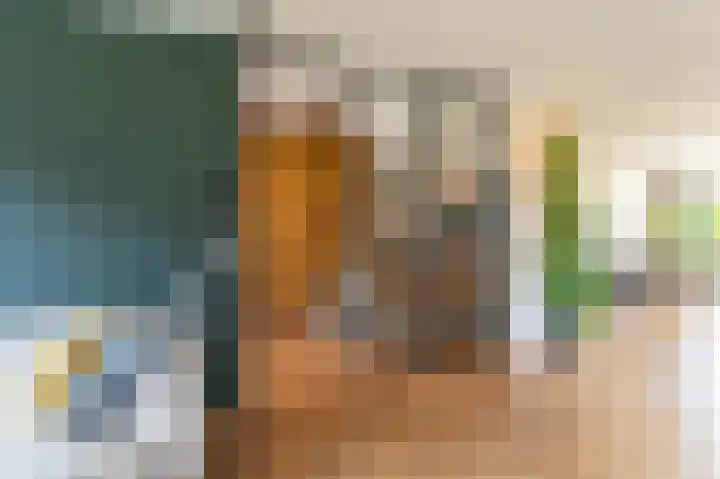 IJsvogel 49 Muiden thumbnail 16