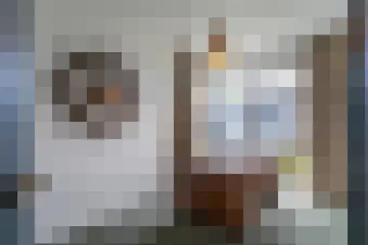 IJsvogel 49 Muiden thumbnail 17