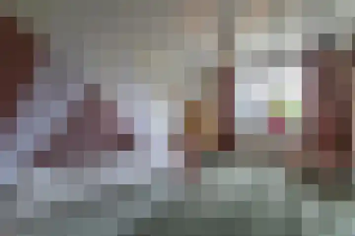 IJsvogel 49 Muiden thumbnail 19