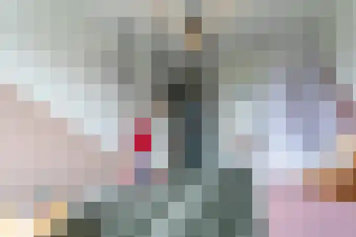 IJsvogel 49 Muiden thumbnail 20