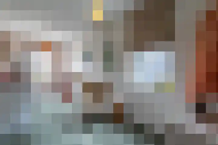 IJsvogel 49 Muiden thumbnail 21