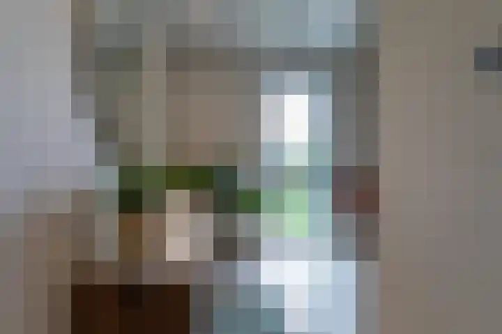IJsvogel 49 Muiden thumbnail 23