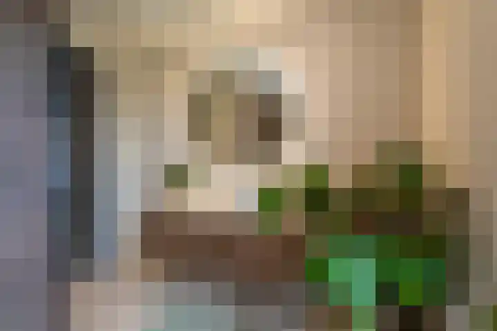 IJsvogel 49 Muiden thumbnail 24