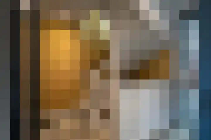 IJsvogel 49 Muiden thumbnail 26