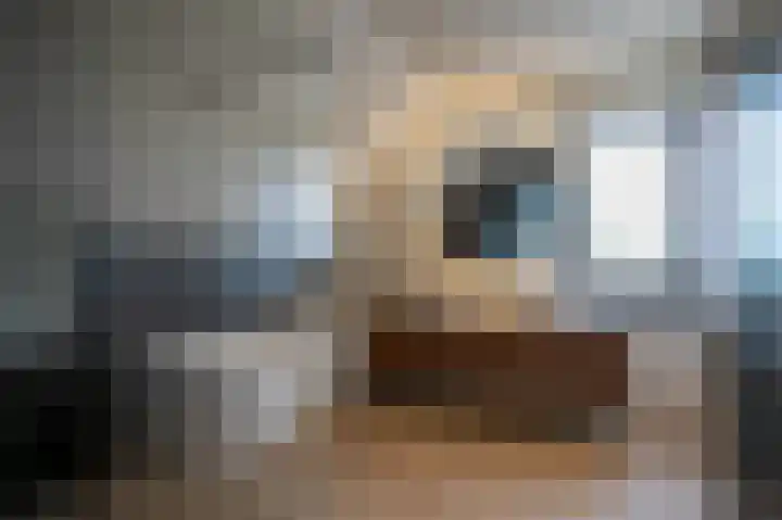 IJsvogel 49 Muiden thumbnail 30