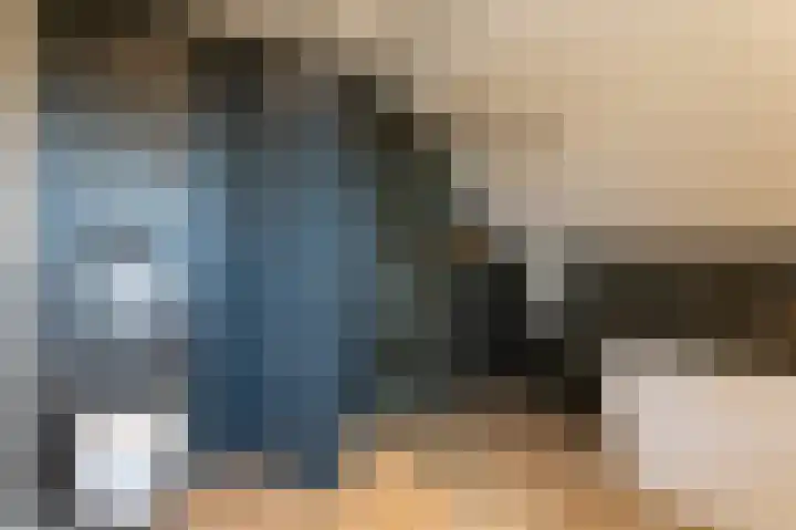 IJsvogel 49 Muiden thumbnail 31