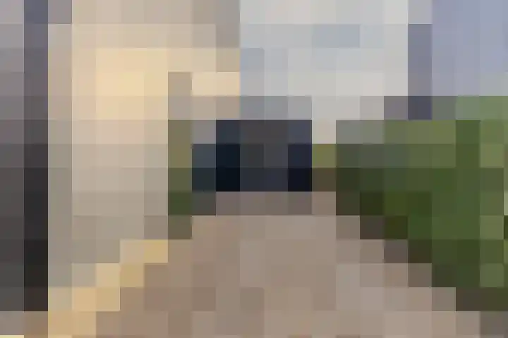 IJsvogel 49 Muiden thumbnail 32