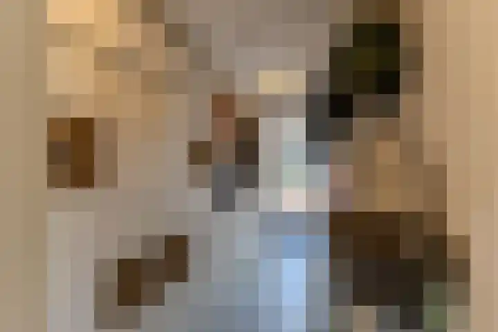 IJsvogel 49 Muiden thumbnail 33