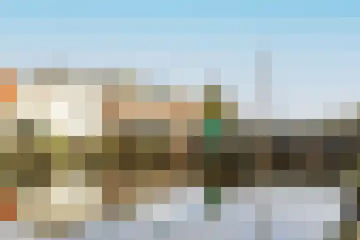 IJsvogel 49 Muiden thumbnail 34