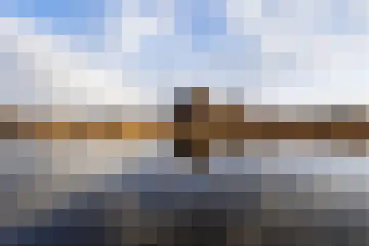 IJsvogel 49 Muiden thumbnail 35
