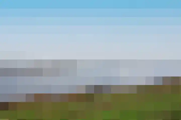 IJsvogel 49 Muiden thumbnail 37