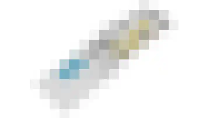 IJsvogel 49 Muiden thumbnail 39