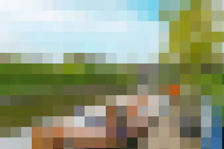 IJsvogel 49 Muiden thumbnail 4
