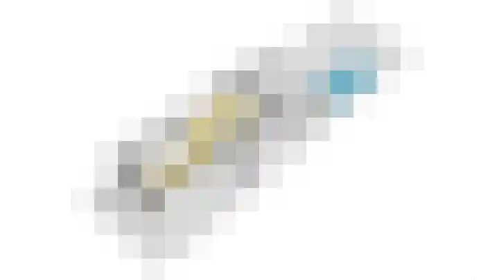 IJsvogel 49 Muiden thumbnail 40