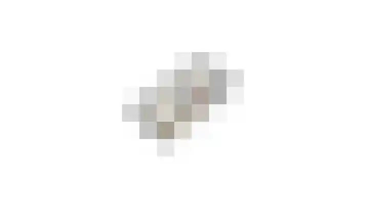 IJsvogel 49 Muiden thumbnail 42
