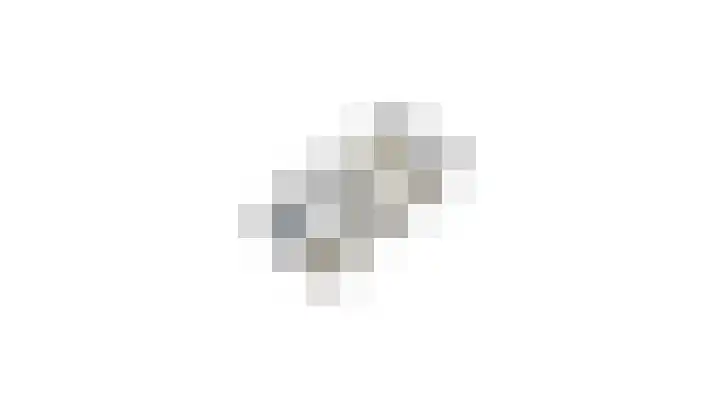 IJsvogel 49 Muiden thumbnail 43