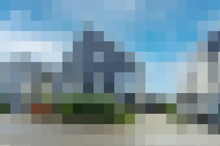 IJsvogel 49 Muiden thumbnail 5