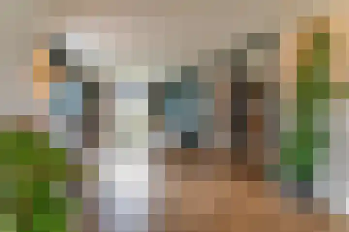 IJsvogel 49 Muiden thumbnail 6