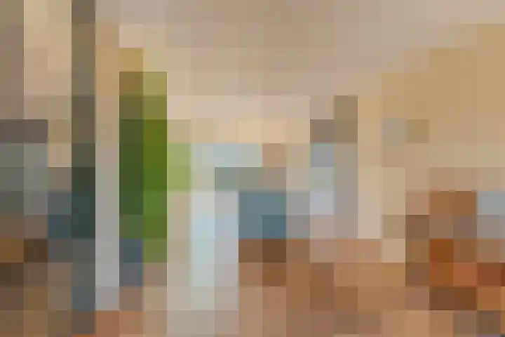 IJsvogel 49 Muiden thumbnail 7