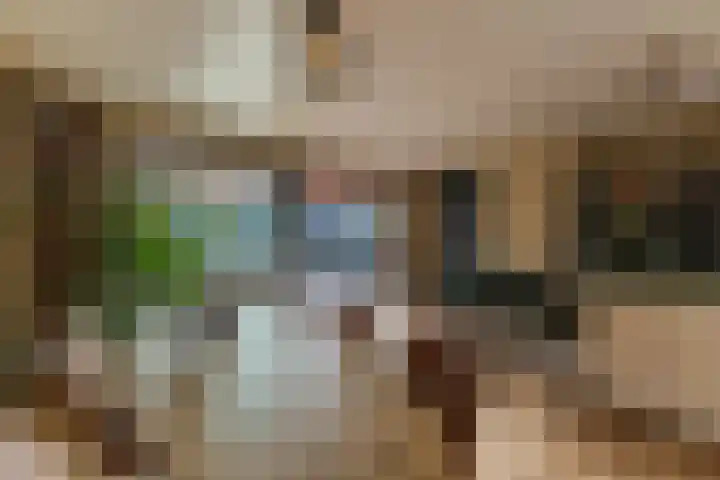 IJsvogel 49 Muiden thumbnail 9