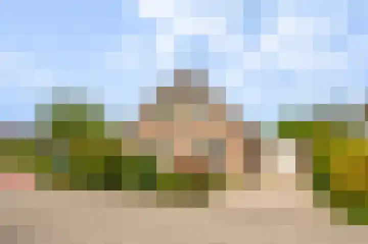 IJsvogel 6 Sliedrecht