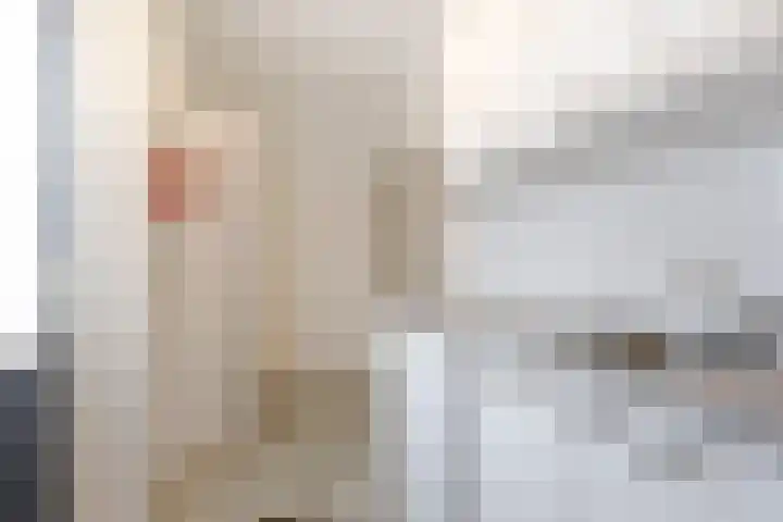 IJsvogel 6 Sliedrecht thumbnail 11