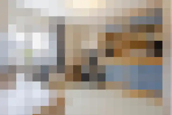 IJsvogel 6 Sliedrecht thumbnail 12