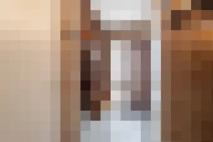 IJsvogel 6 Sliedrecht thumbnail 14