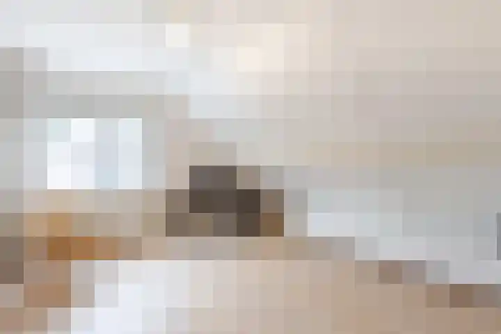 IJsvogel 6 Sliedrecht thumbnail 19