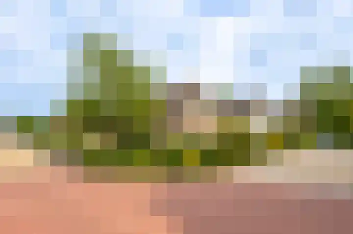 IJsvogel 6 Sliedrecht foto 2