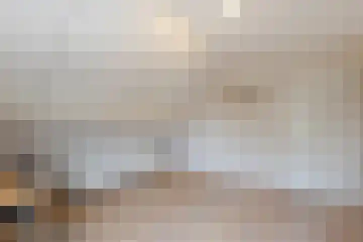 IJsvogel 6 Sliedrecht thumbnail 20