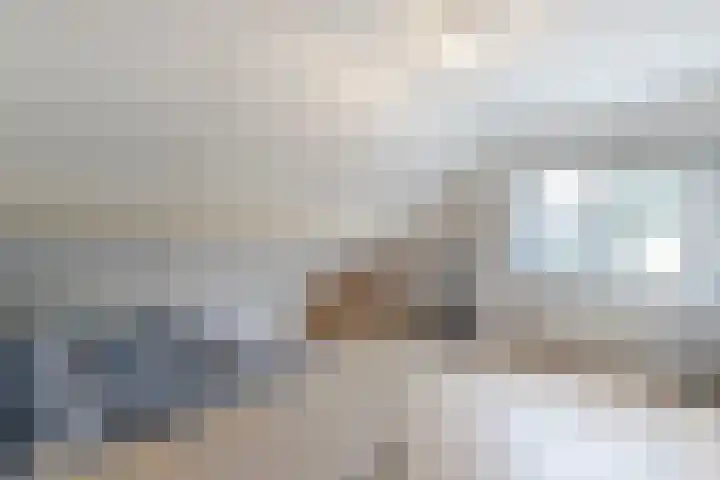 IJsvogel 6 Sliedrecht thumbnail 21