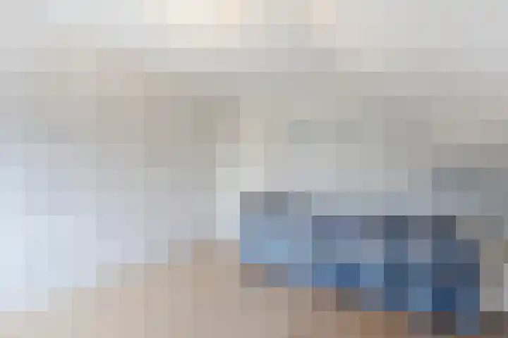 IJsvogel 6 Sliedrecht thumbnail 22